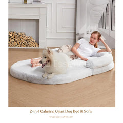 The Human Dog Bed: A Sofa for You & Your Pet