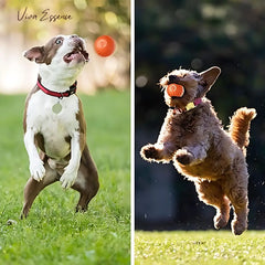 IntelliRoll: The Smart Ball for Happy Pets
