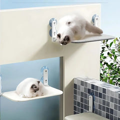 Secure & Stylish Cat Window Perch Hammock