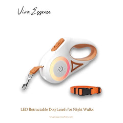 AuraGlow LED Leash: Safety You Can See
