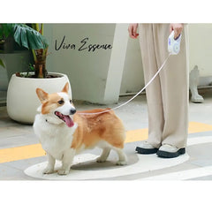 AuraGlow LED Leash: Safety You Can See