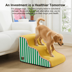 Orthopedic Dog Stairs for Joint Relief