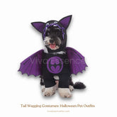 Bat Cat™ Halloween Pet Costume
