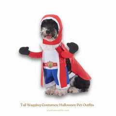 Bat Cat™ Halloween Pet Costume