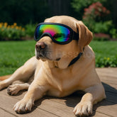 AdventureShield. ™ UV Dog Goggles – Medium to Large Breeds