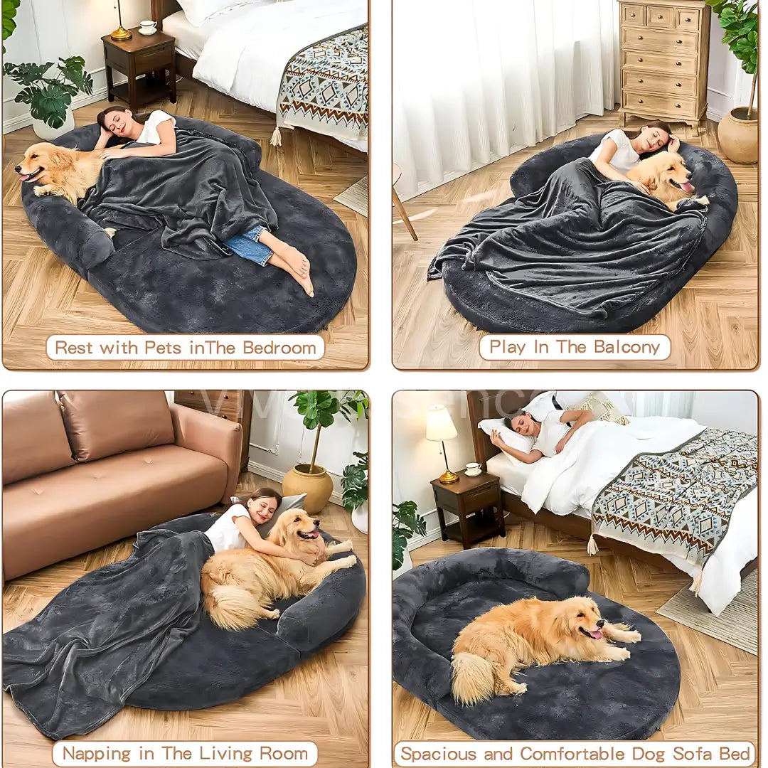 The Human Dog Bed: A Sofa for You & Your Pet