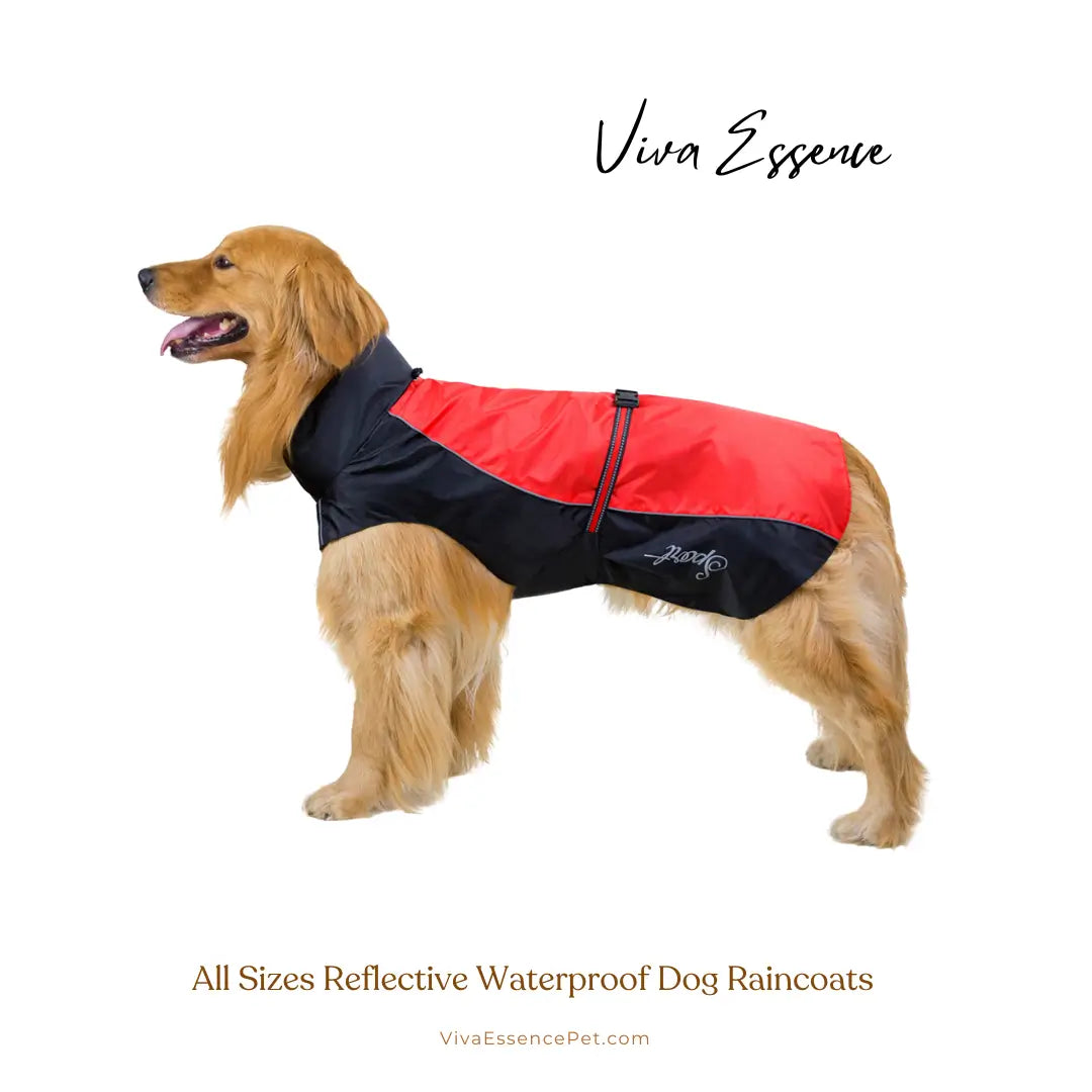 Safe & Dry Reflective Dog Raincoat