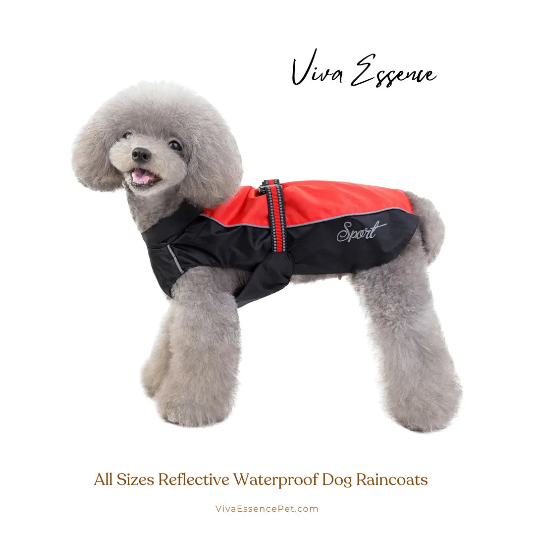 Safe & Dry Reflective Dog Raincoat