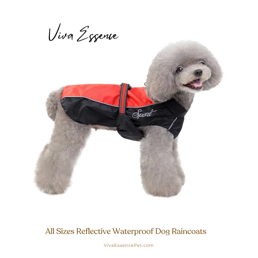 Safe & Dry Reflective Dog Raincoat