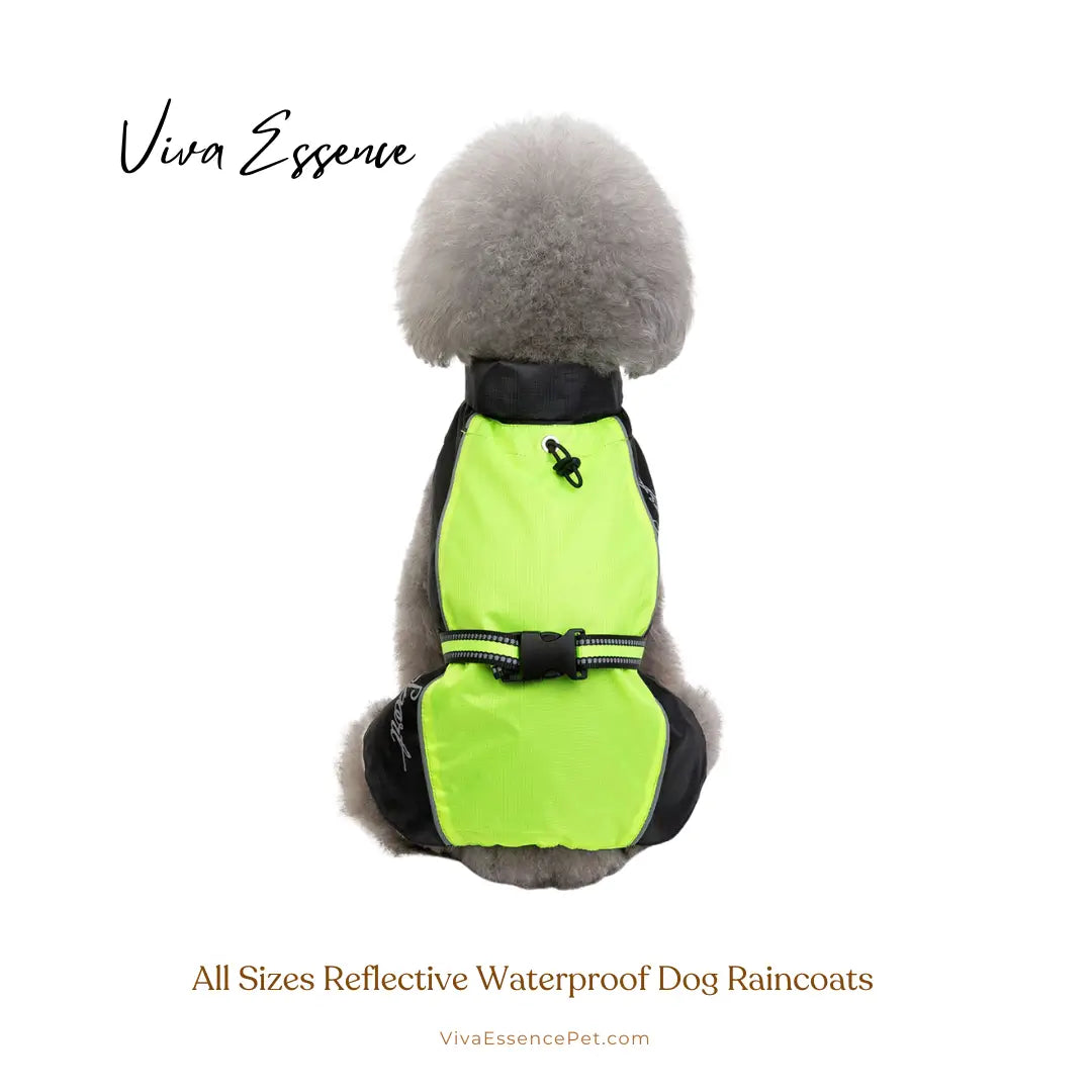 Safe & Dry Reflective Dog Raincoat