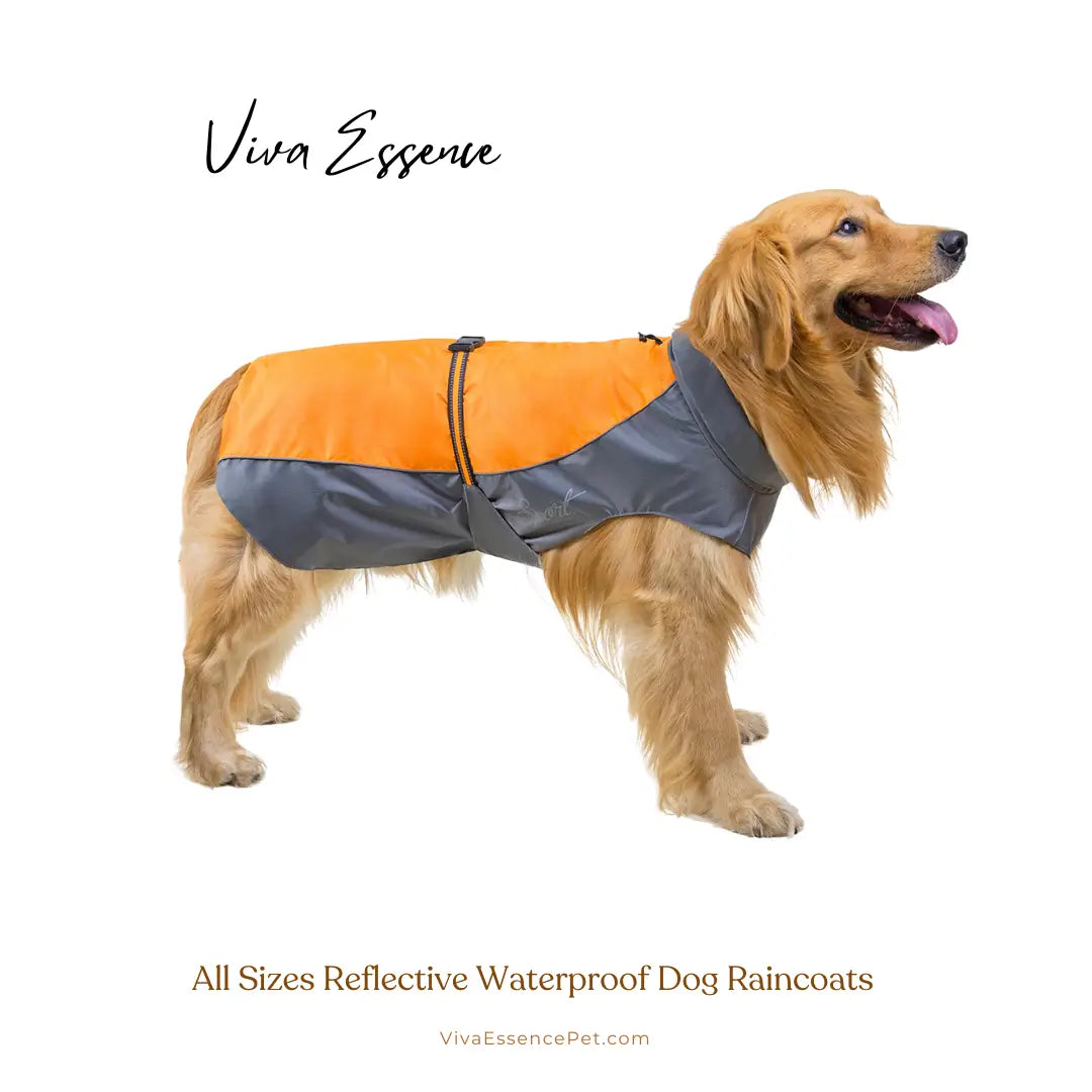 Safe & Dry Reflective Dog Raincoat