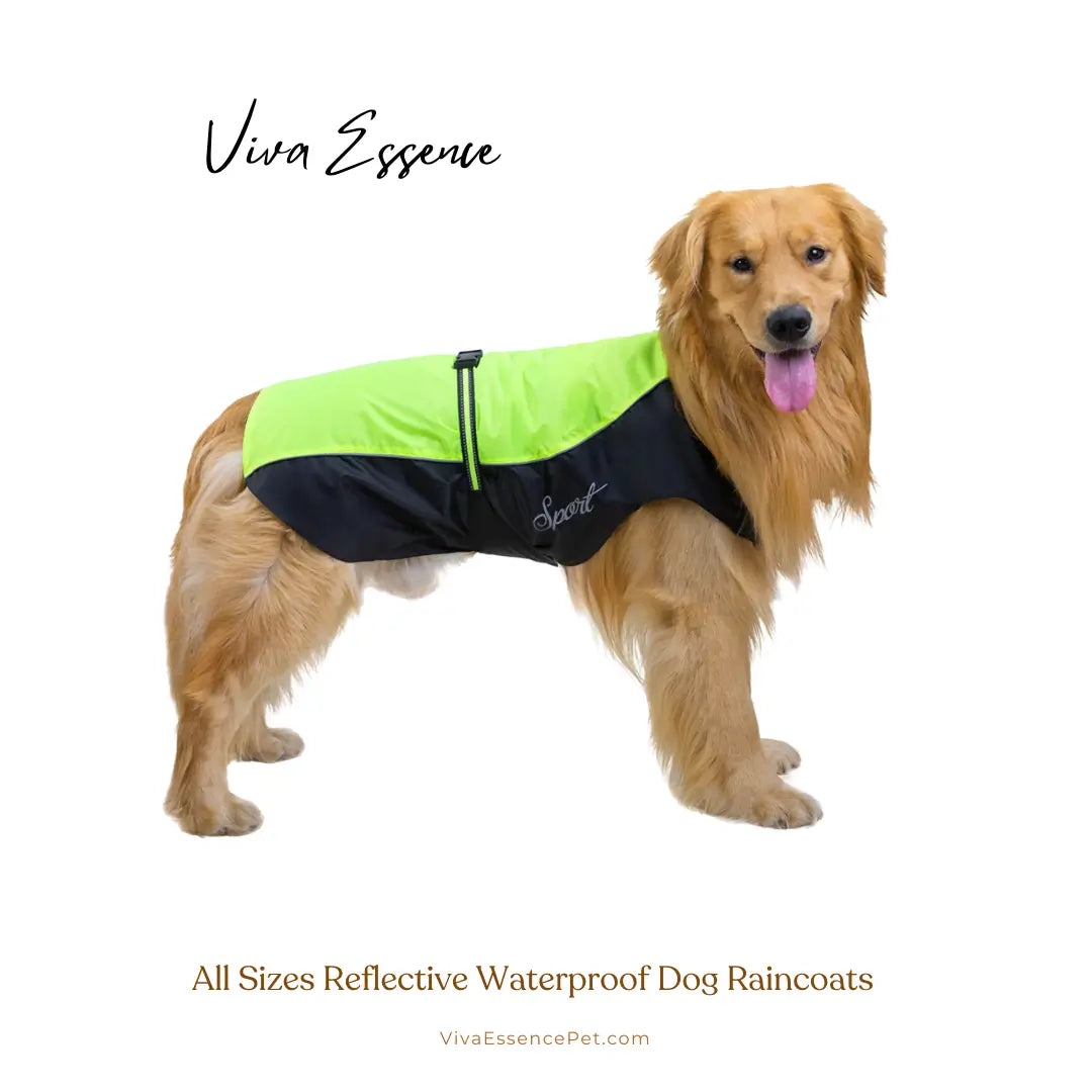Safe & Dry Reflective Dog Raincoat
