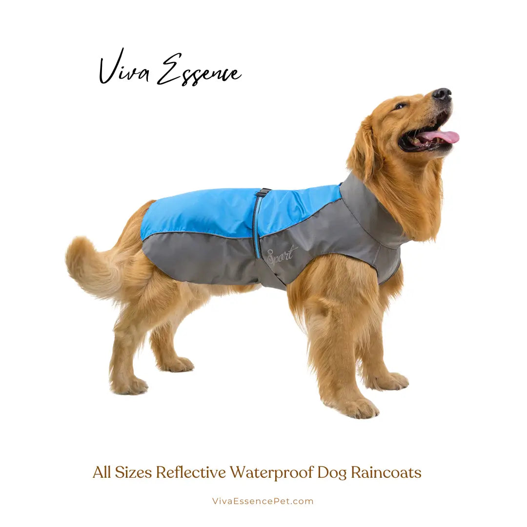 Safe & Dry Reflective Dog Raincoat