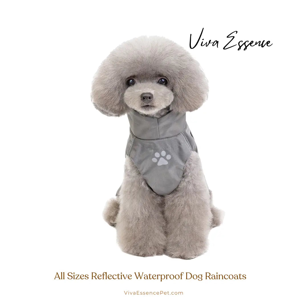 Safe & Dry Reflective Dog Raincoat
