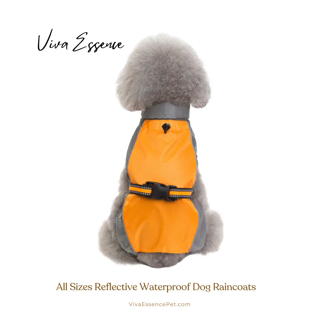 Safe & Dry Reflective Dog Raincoat