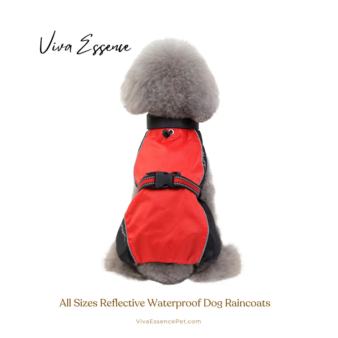 Safe & Dry Reflective Dog Raincoat