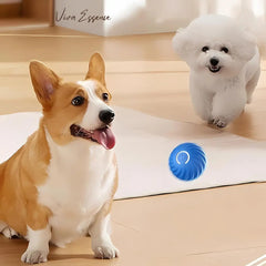 IntelliRoll: The Smart Ball for Happy Pets