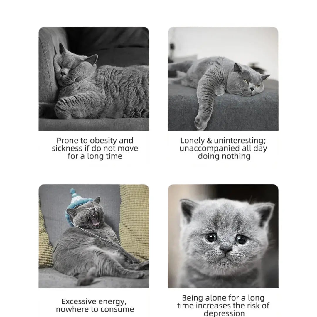Whisker Play: The Automatic Laser Cat Companion