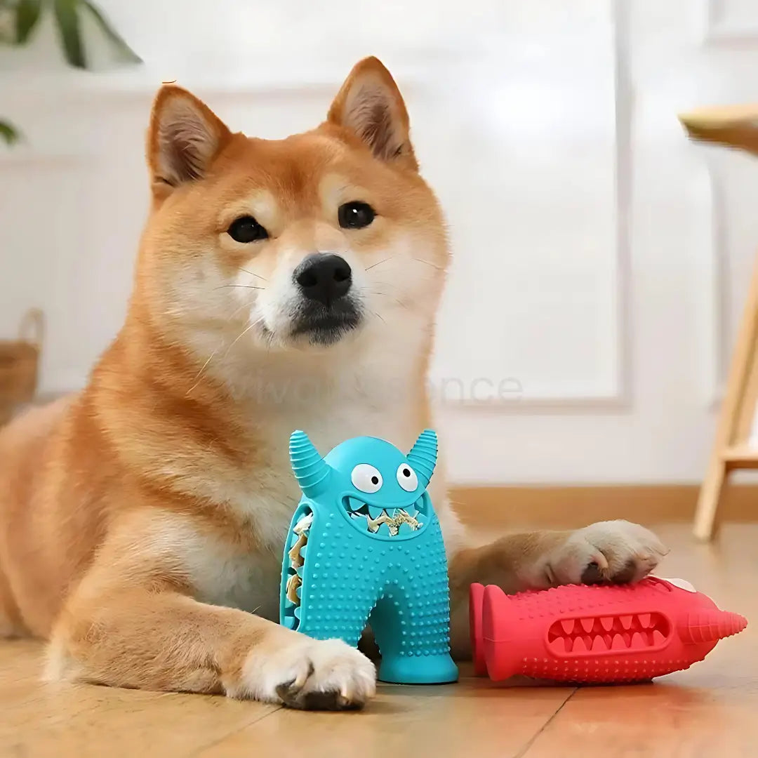 Monster Chew: The Indestructible Dental Toy