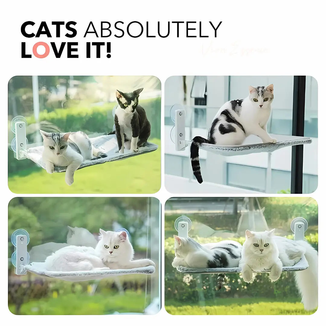 Secure & Stylish Cat Window Perch Hammock