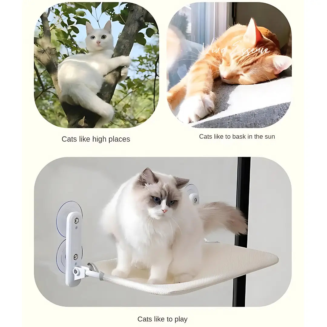 Secure & Stylish Cat Window Perch Hammock