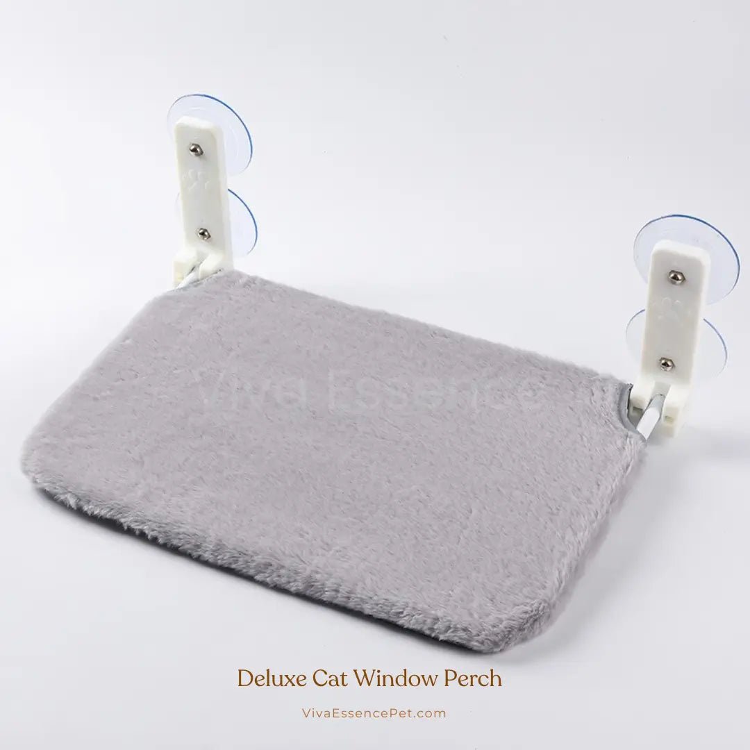 Secure & Stylish Cat Window Perch Hammock