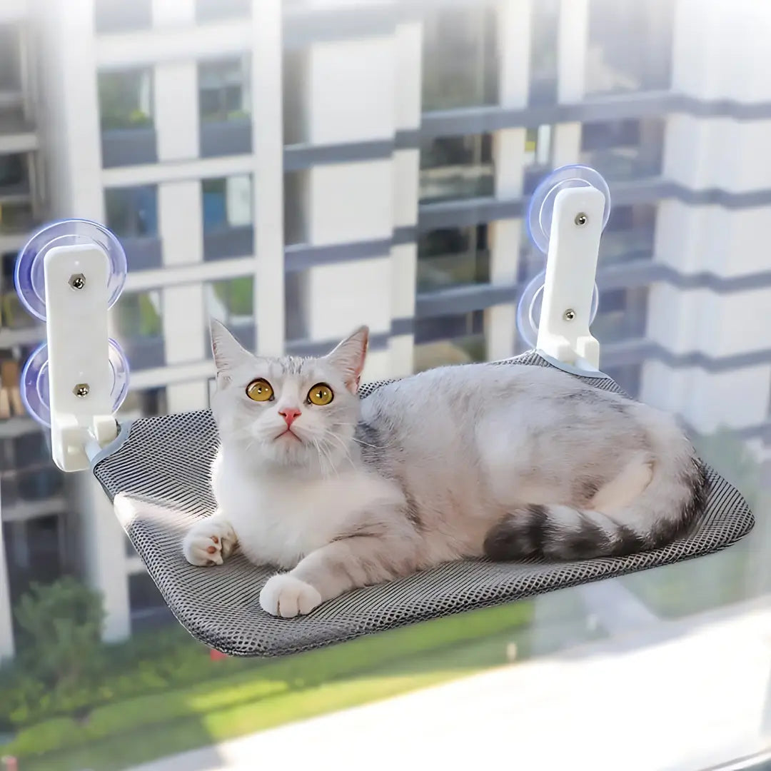 Secure & Stylish Cat Window Perch Hammock