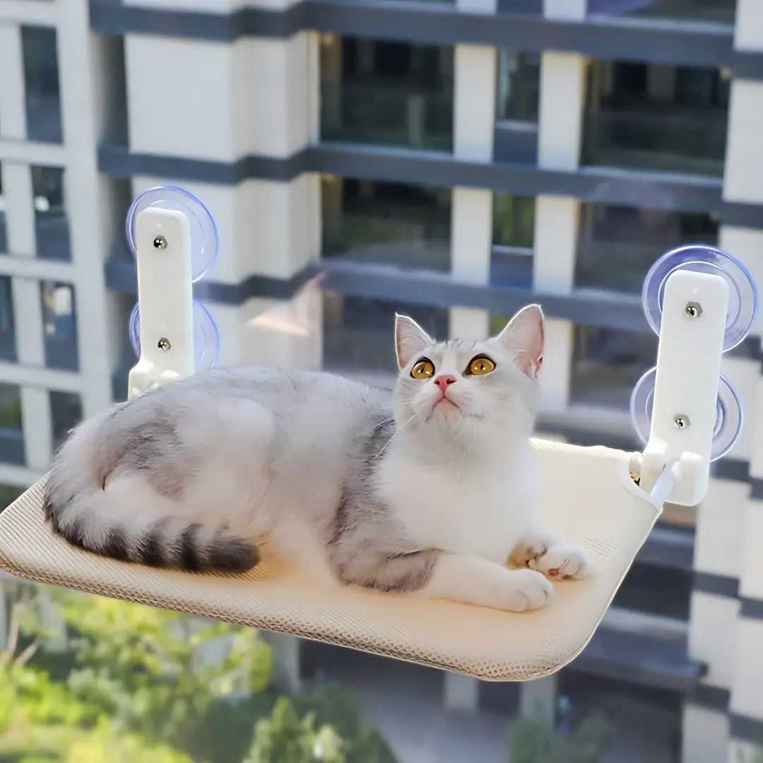 Secure & Stylish Cat Window Perch Hammock