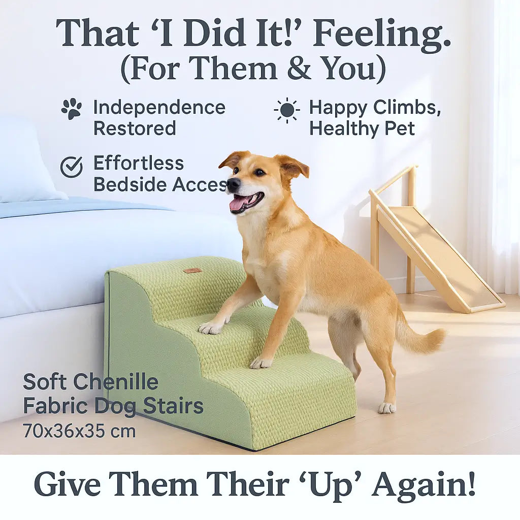 Orthopedic Dog Stairs for Joint Relief