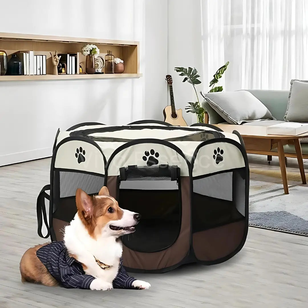 Pop-Up Pet Haven: Your Instant Travel Playpen