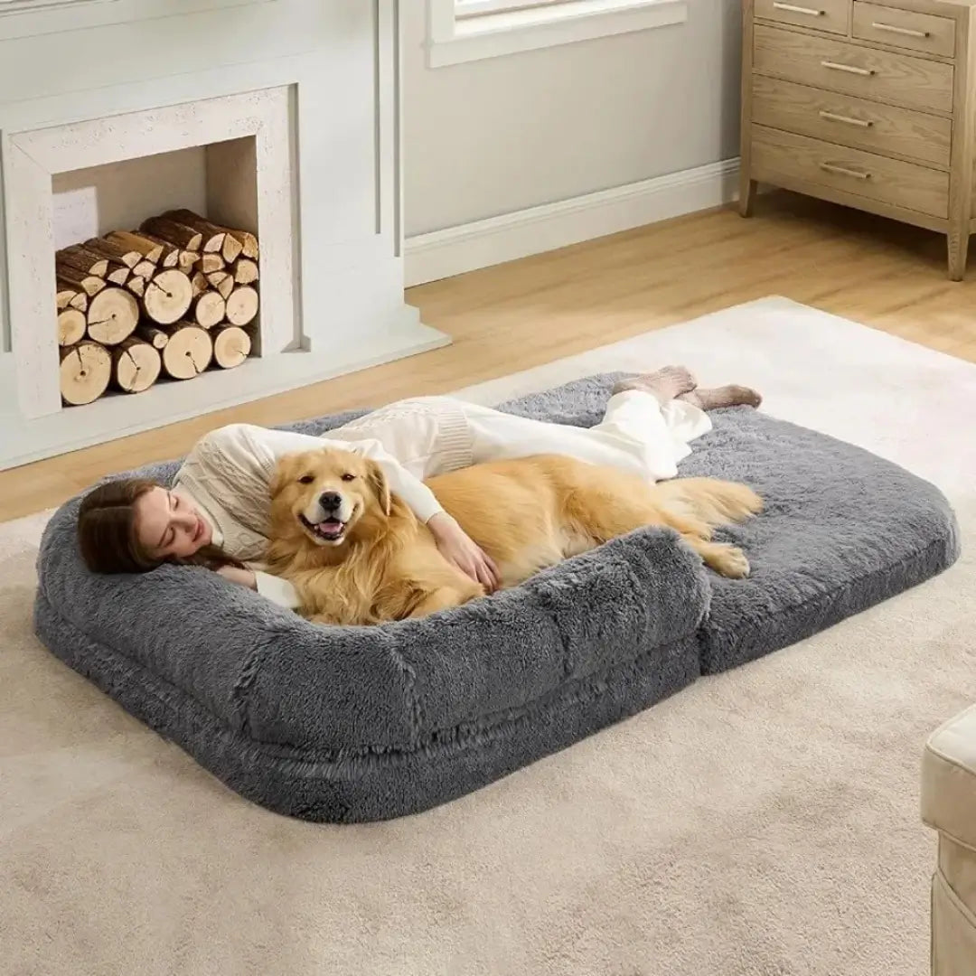 The Cloud Bed: Human-Sized Bed for You and Your Dog