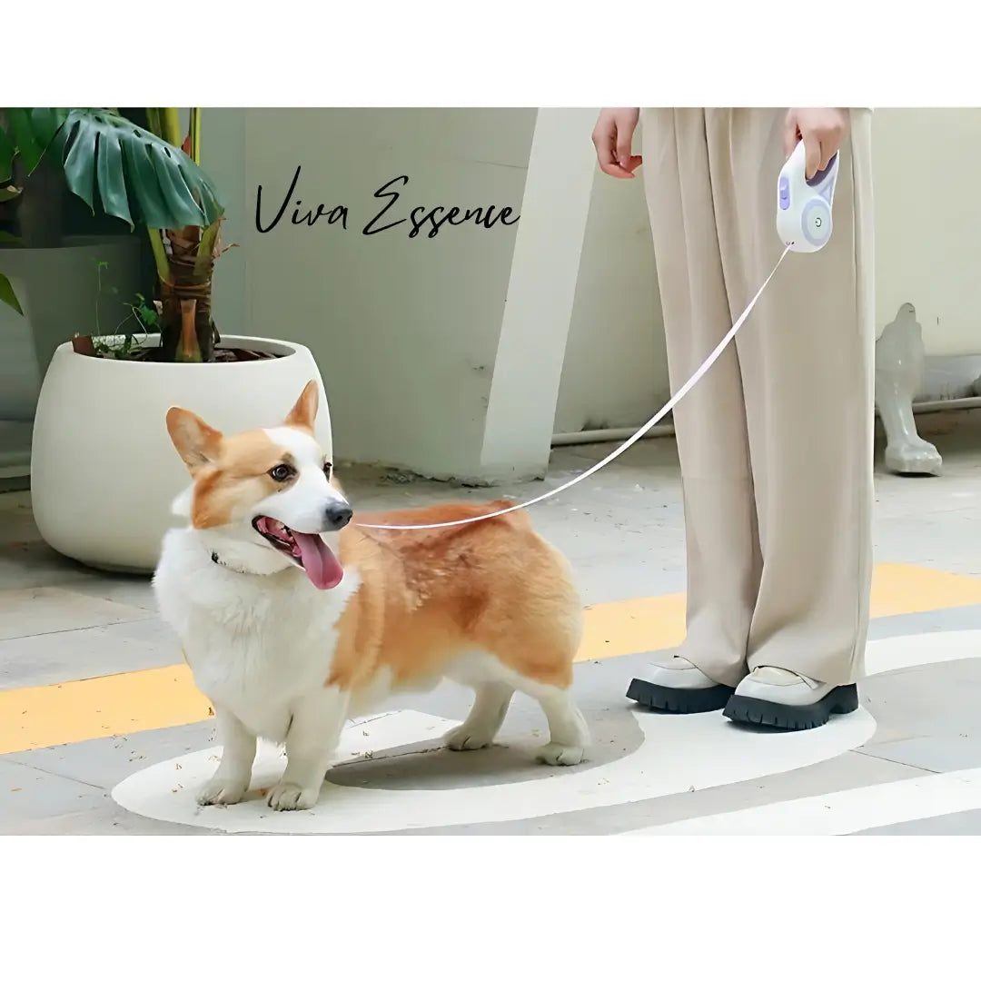 AuraGlow LED Leash: Safety You Can See