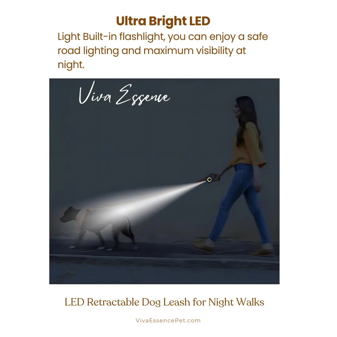 AuraGlow LED Leash: Safety You Can See