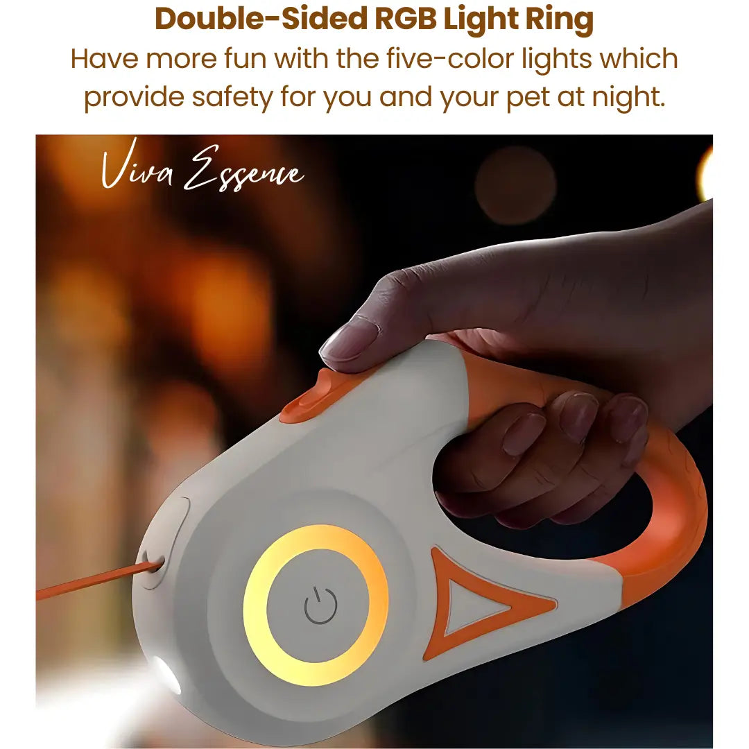 AuraGlow LED Leash: Safety You Can See