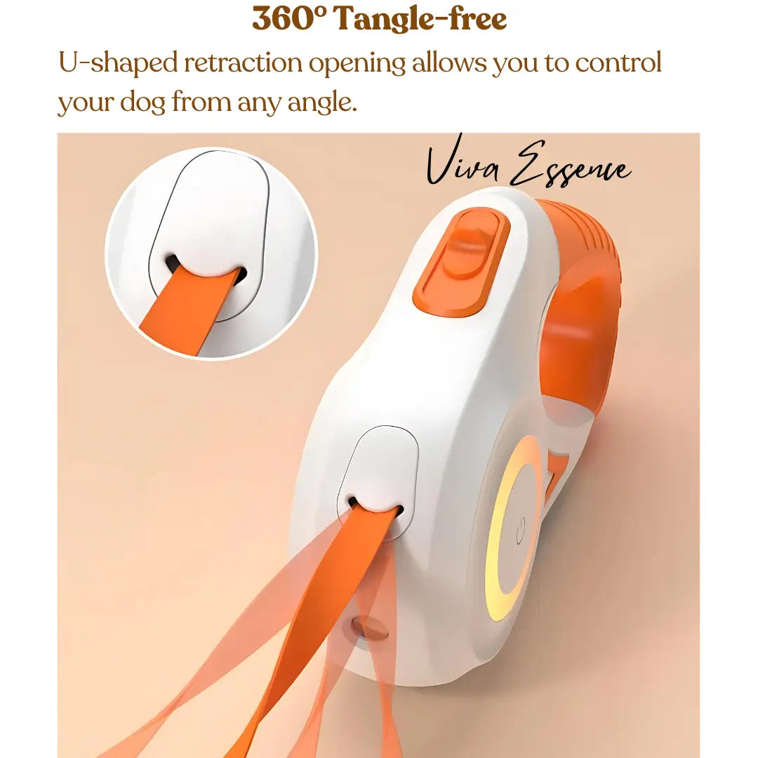 AuraGlow LED Leash: Safety You Can See