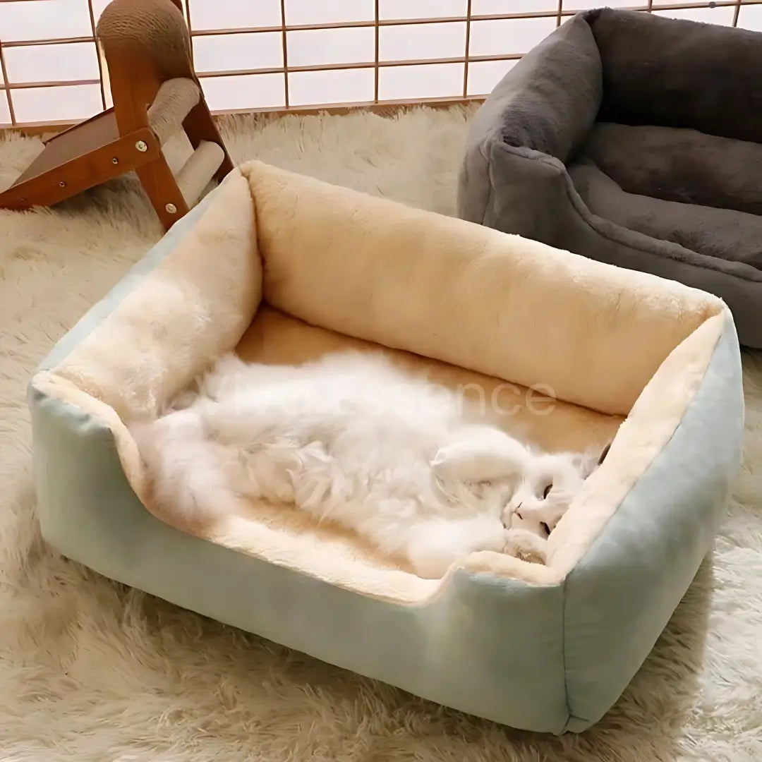 Cozy Haven Pet House & Bed