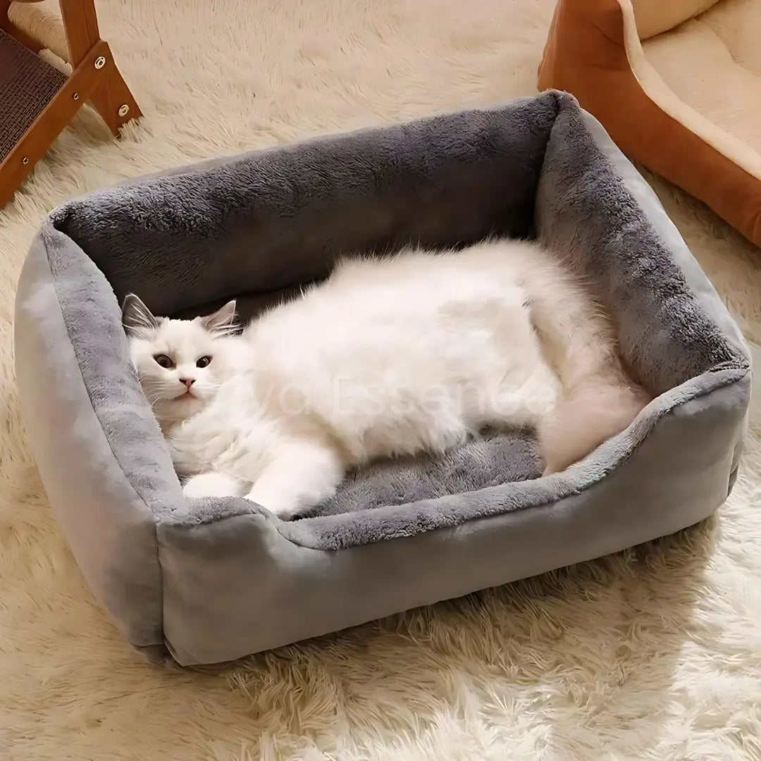 Cozy Haven Pet House & Bed