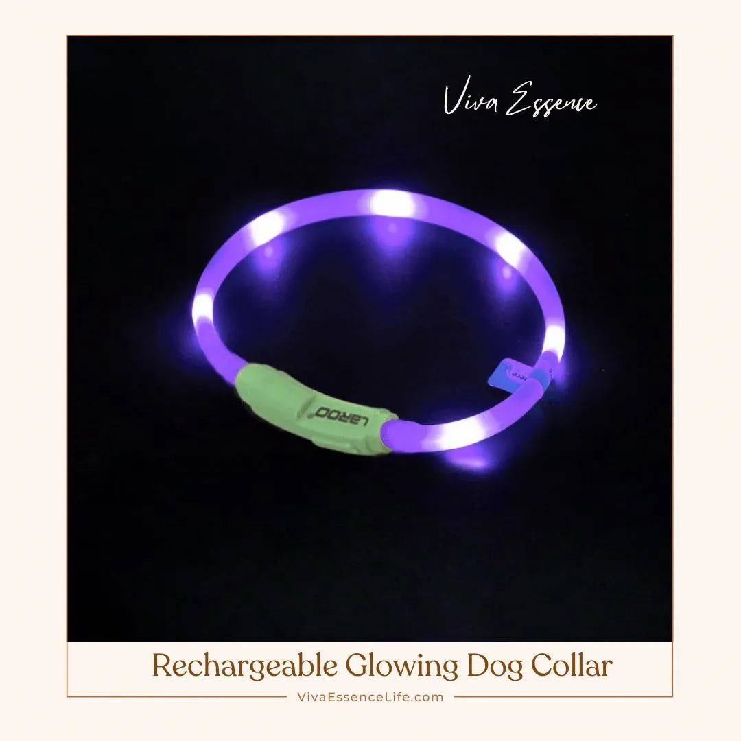 AuraGlow LED Dog Collar: Illuminate Nighttime Walks