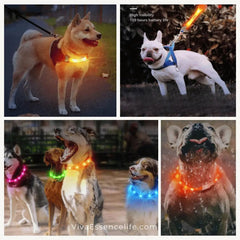 AuraGlow LED Dog Collar: Illuminate Nighttime Walks