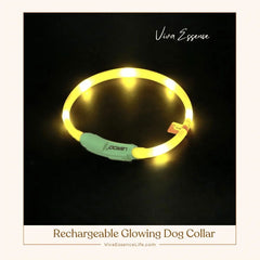 AuraGlow LED Dog Collar: Illuminate Nighttime Walks