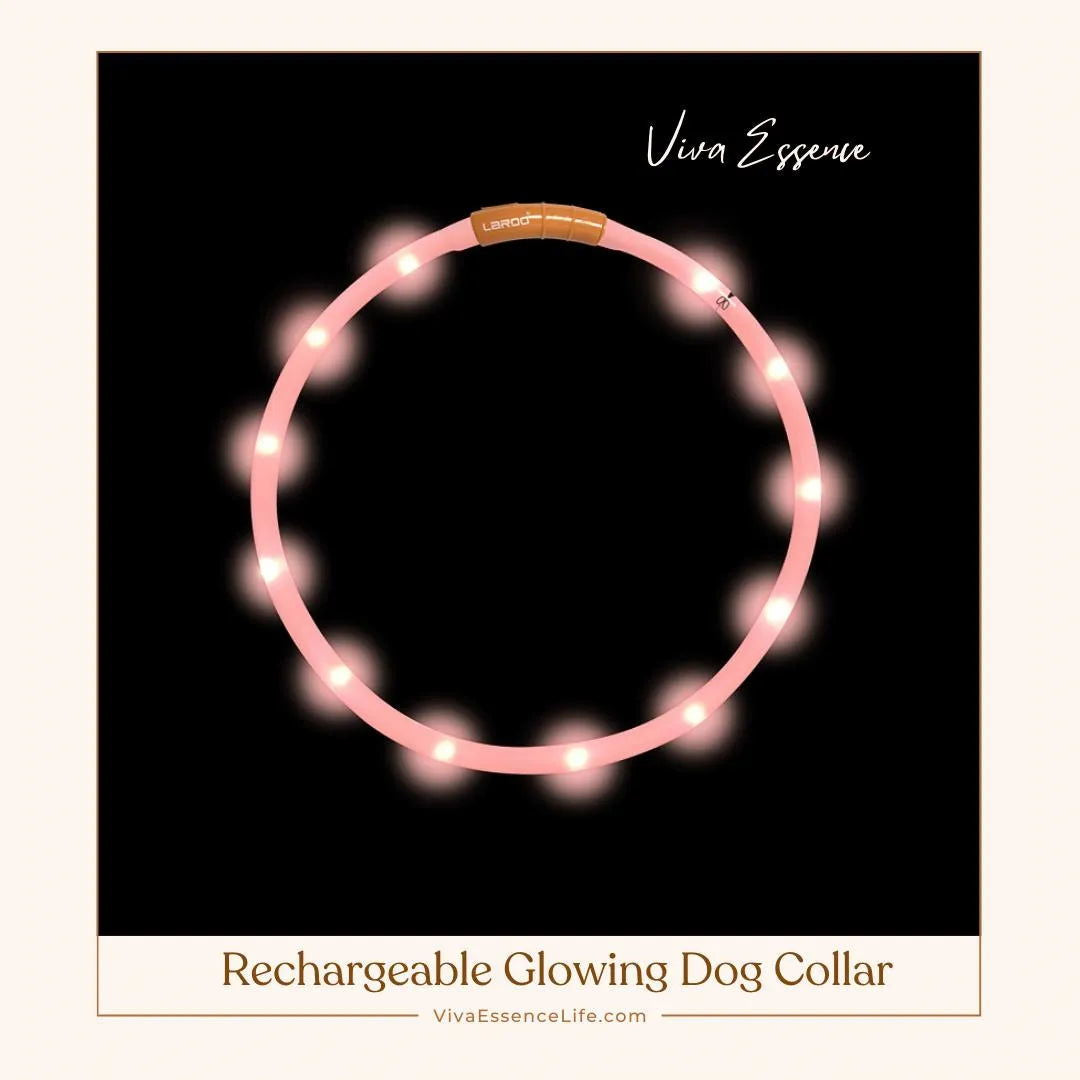 AuraGlow LED Dog Collar: Illuminate Nighttime Walks