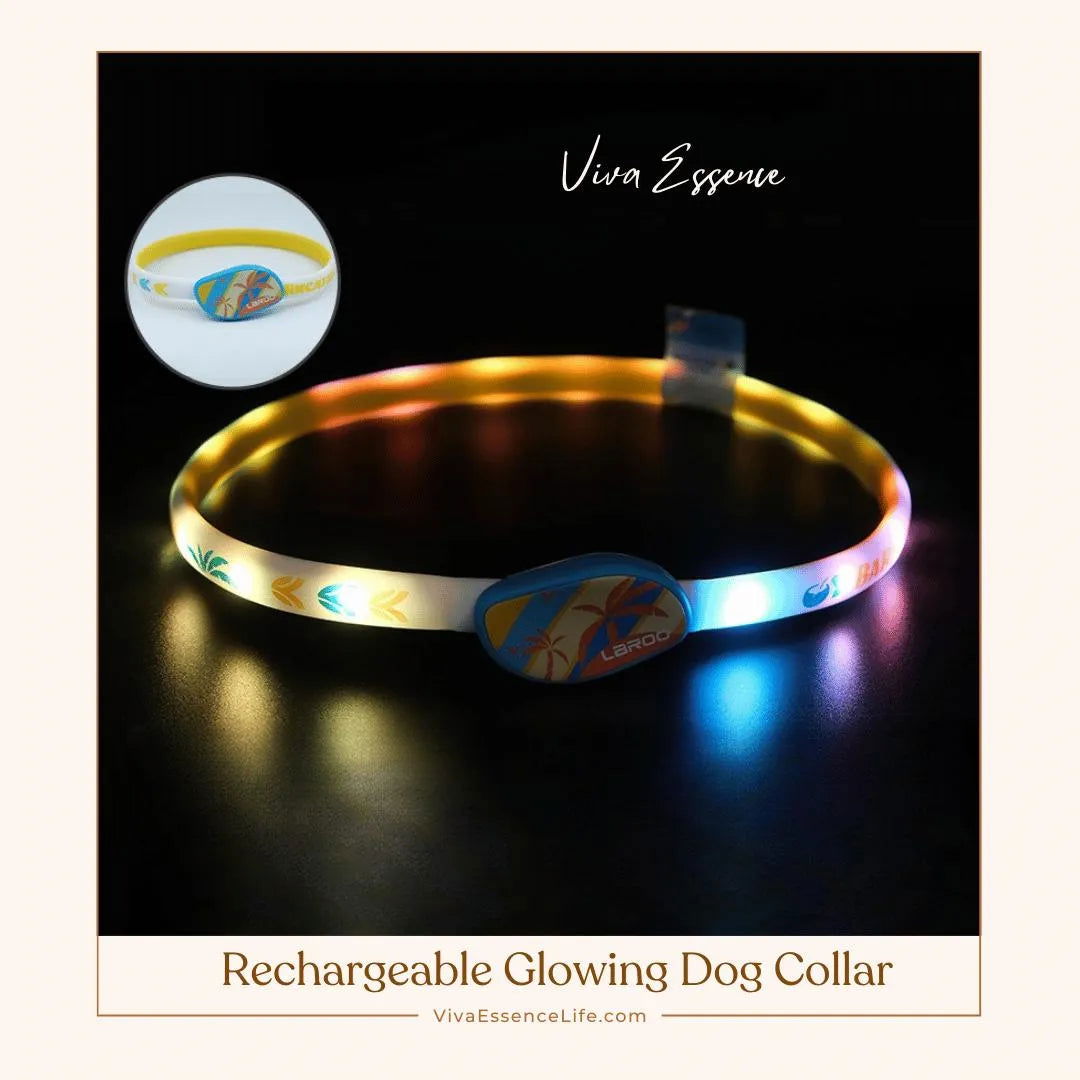 AuraGlow LED Dog Collar: Illuminate Nighttime Walks