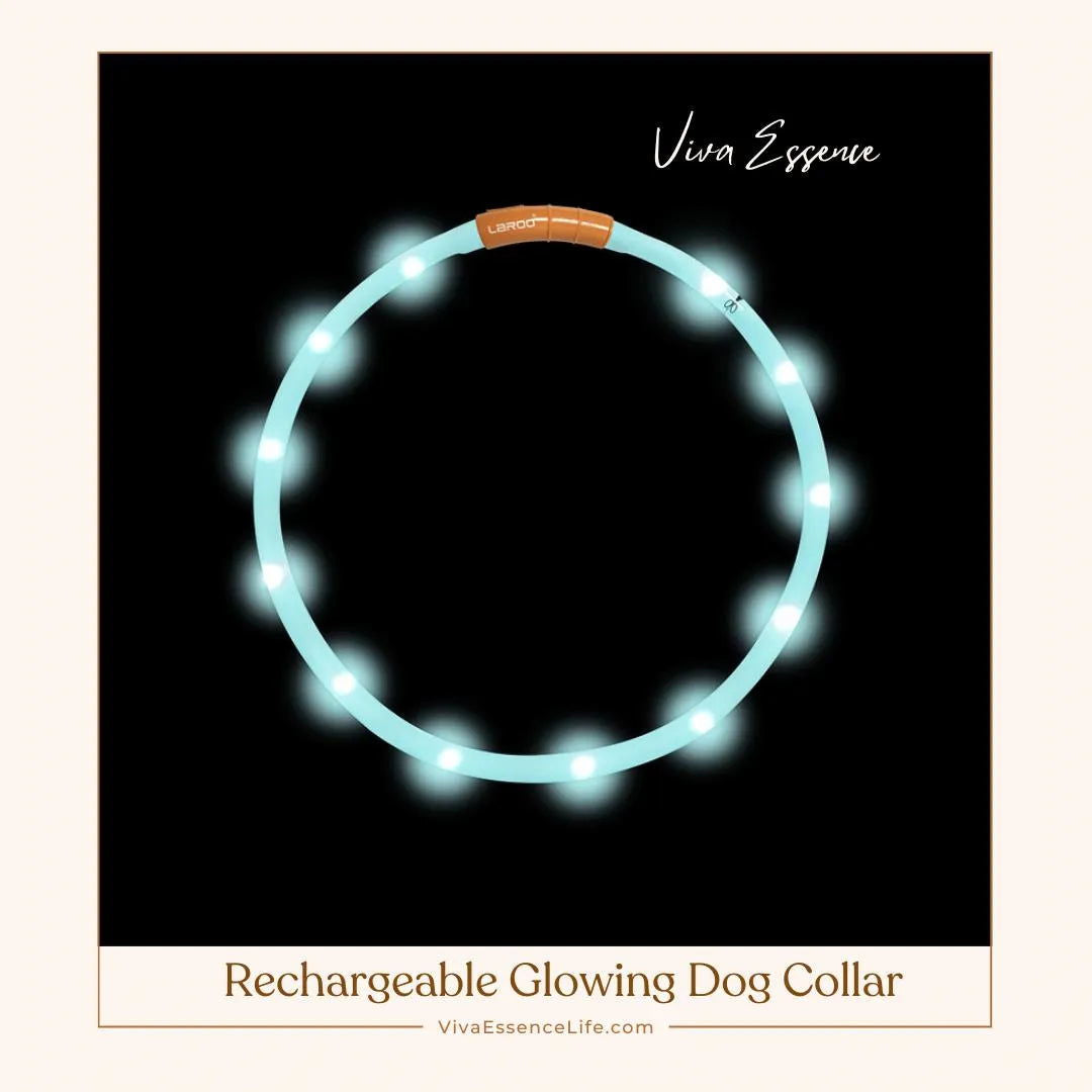 AuraGlow LED Dog Collar: Illuminate Nighttime Walks