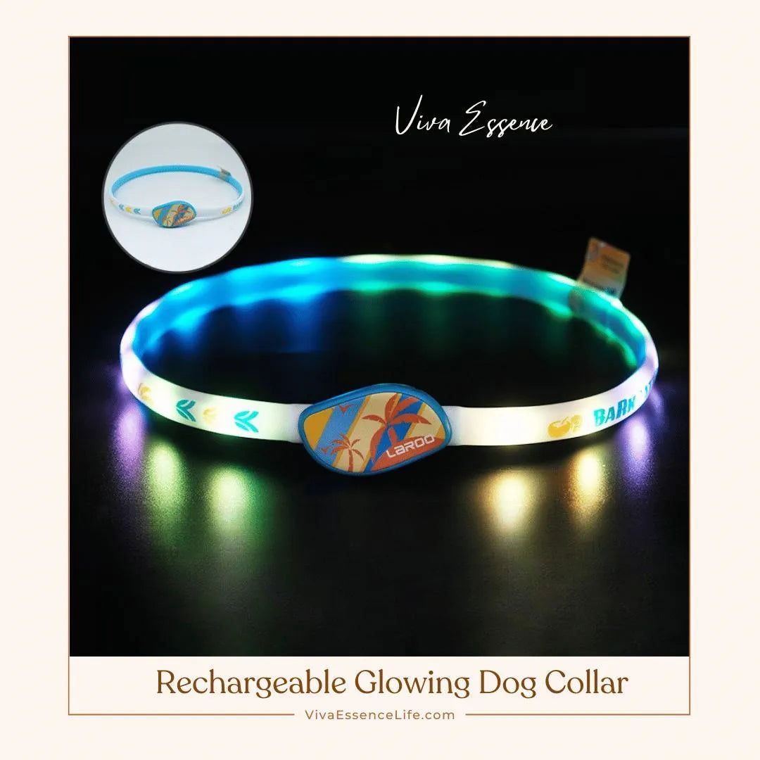 AuraGlow LED Dog Collar: Illuminate Nighttime Walks
