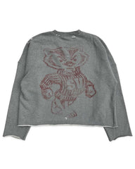 Saint Vanity Badgers Crewneck Grey