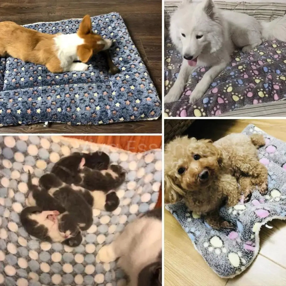 Cozy & Washable Pet Training & Sleeping Pad