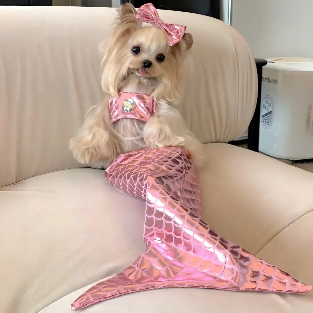 Whimsical Mermaid Pet Costume for Dogs & Cats