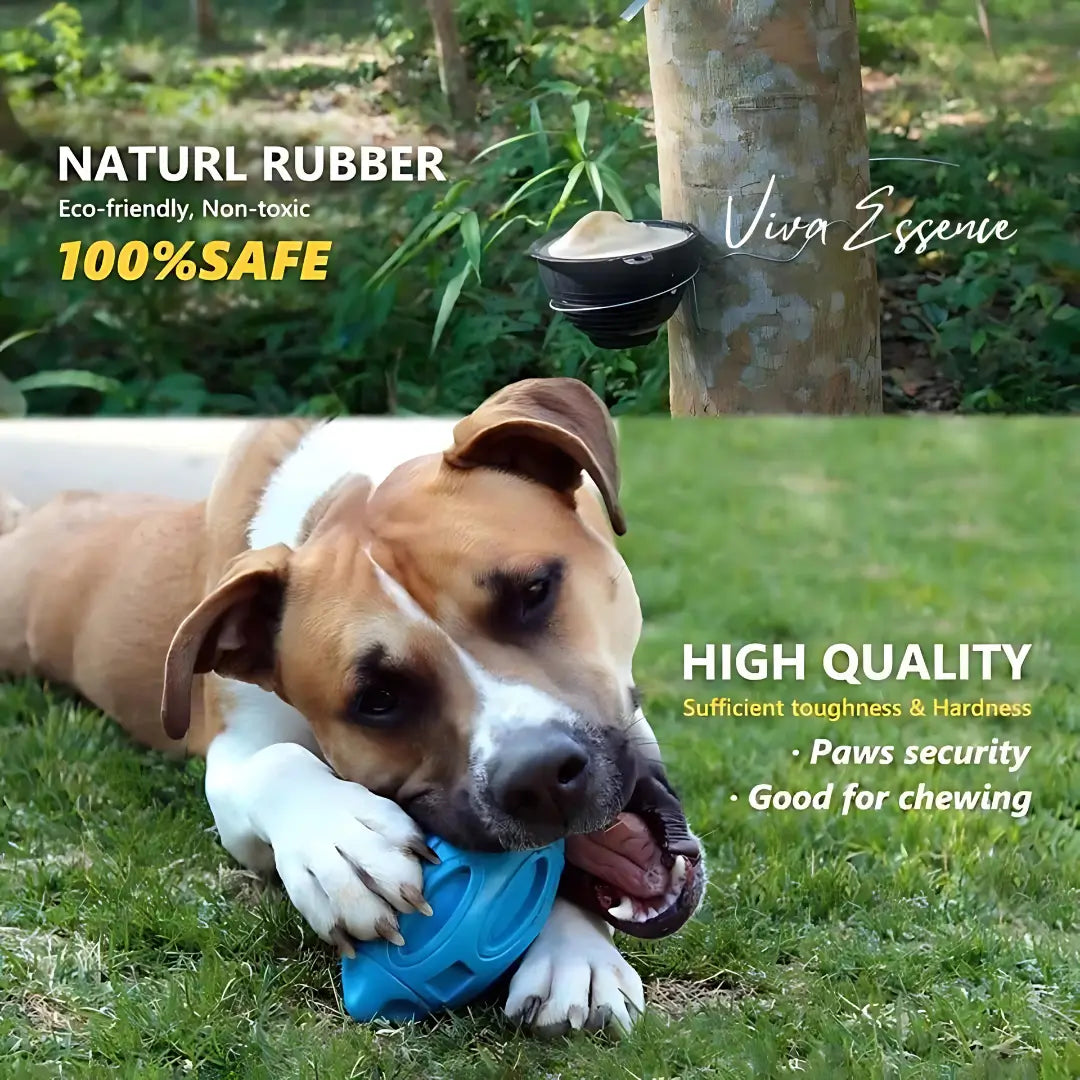 Indestructi-Chew Squeaky Dog Toy