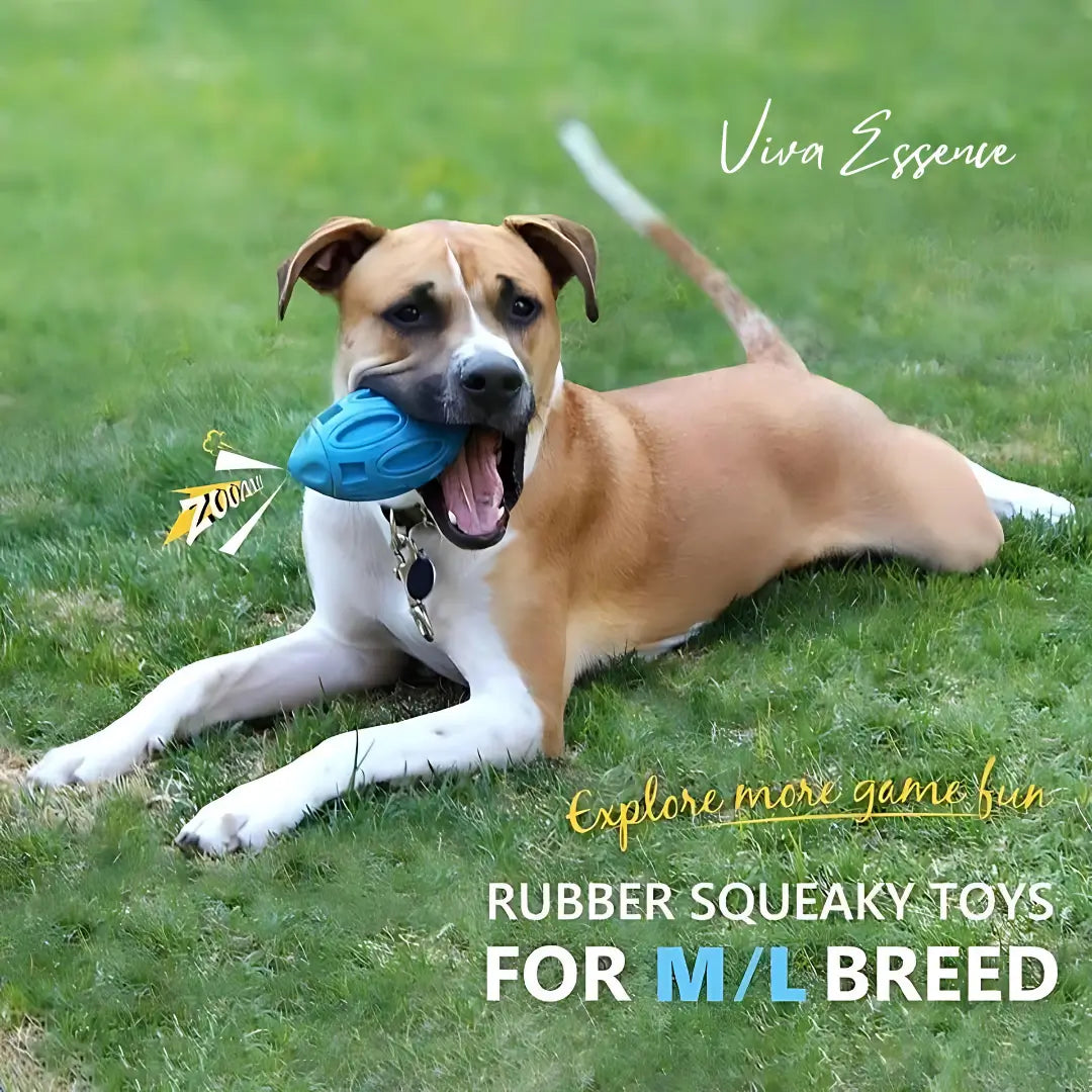 Indestructi-Chew Squeaky Dog Toy