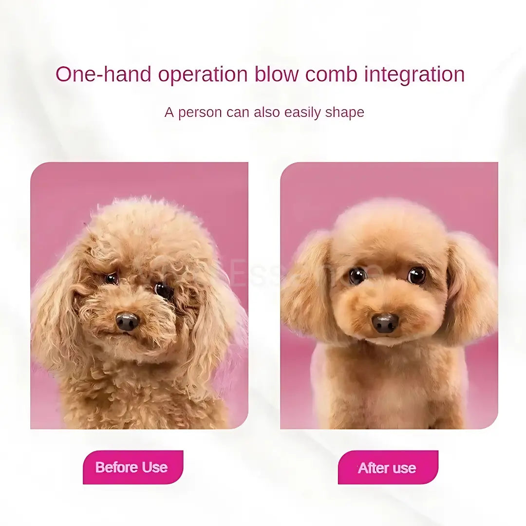 PetPulse 2-in-1 Grooming Dryer & Brush